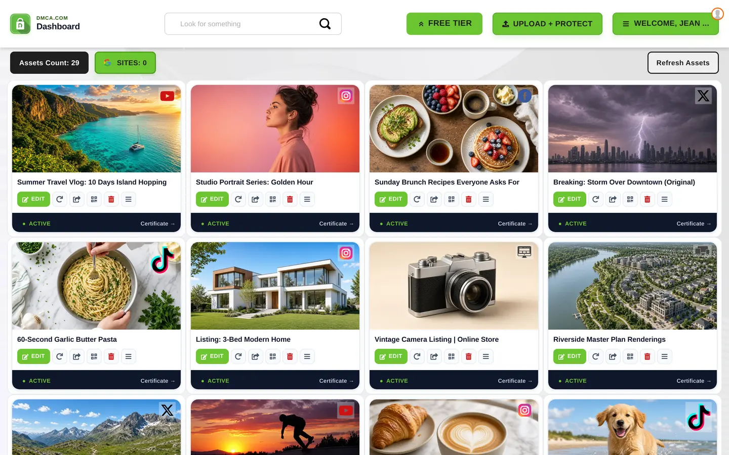 DMCA.com dashboard showing protected assets